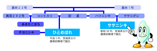 米の系統図